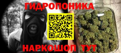 не бодяженный Камень-на-Оби